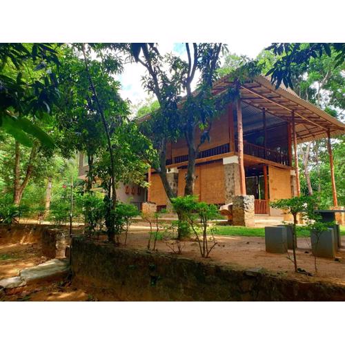 Jungle House