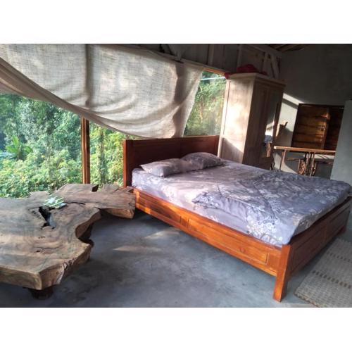 Jungle therapy mayong