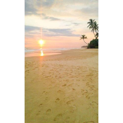 Jungle view one bedroom private apartment