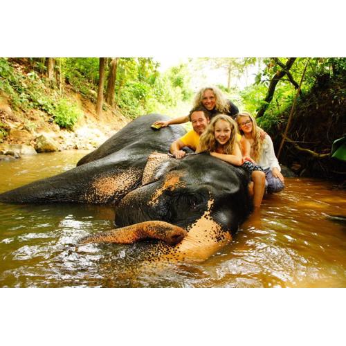 Jungle Village Homestay