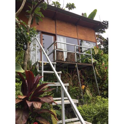 jungleadventure cabin camping