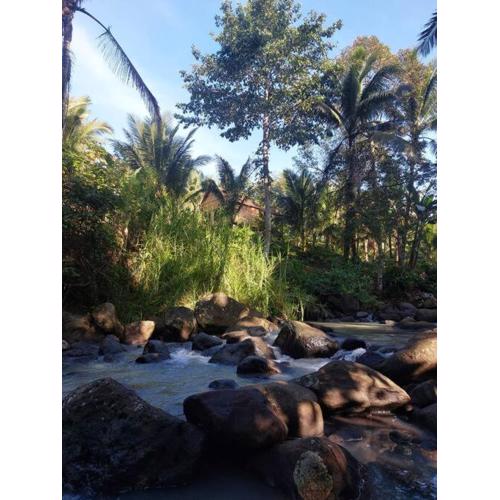 JungleHavenBali - Private and Nature Stay