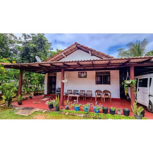 Juno Homestay