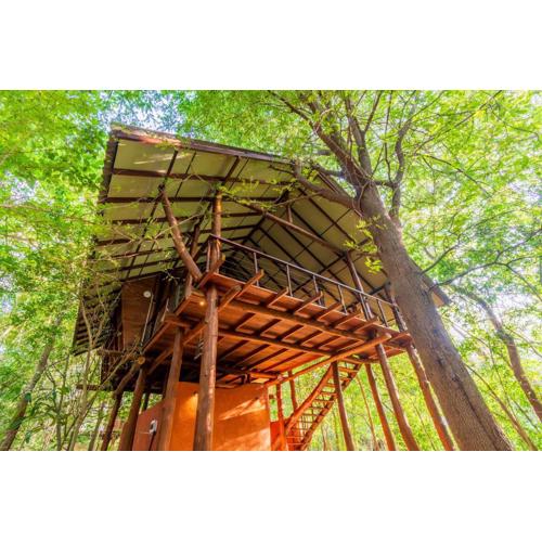 Kaala Kalaththewa Luxury Eco Resort