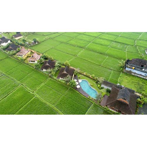 Kabinawa Ubud Villas by GenuineHost