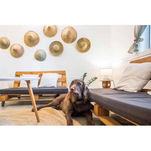 KAHILOM Nest Self-Service Home in Rainforest Nest with Kitchen - Monkeys, Bats, Pet Friendly with a Fee