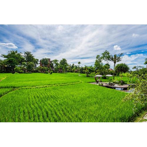 KajaNe Yangloni at Ubud Bali