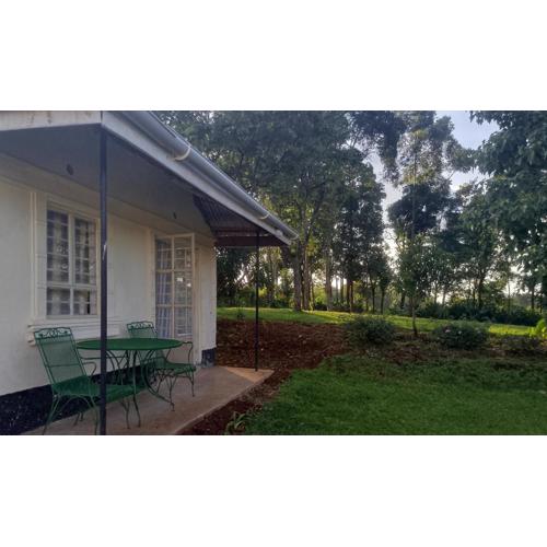 Kakamega Forest Glamping Cabin