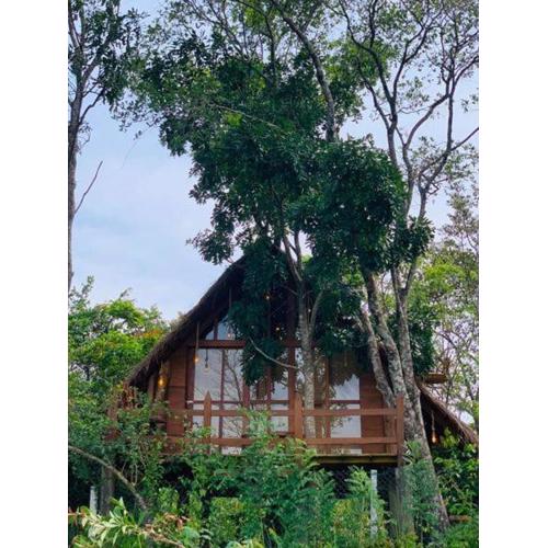 Kale Cottage Belihuloya