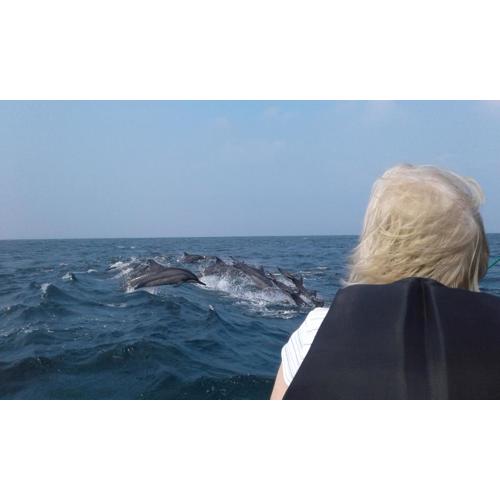 Kalpitiya Guest House