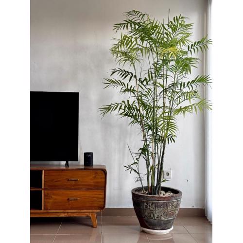 KaMua - A Cozy Canggu Escape