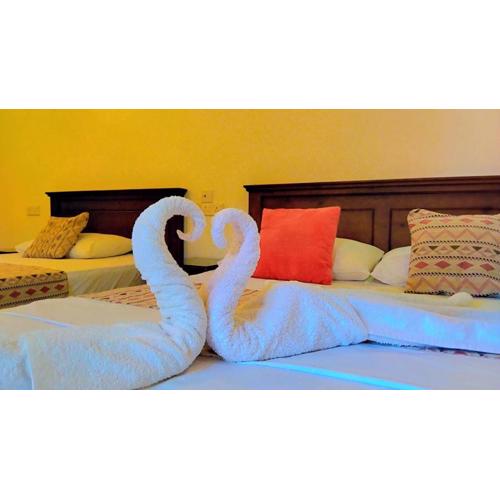 Kandy Inn by Moon hills