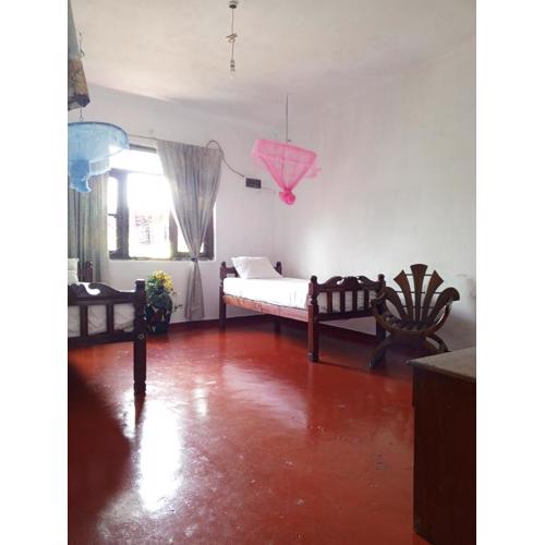 Kandy Nest Stay Home