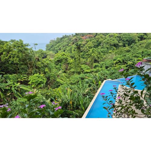 Kata Views by SJ & MJ