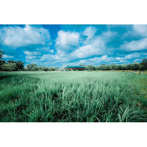 KAYJAY WILD WILPATTU