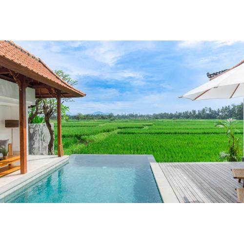 Kemawan Villas - Mountain and Ricefields View