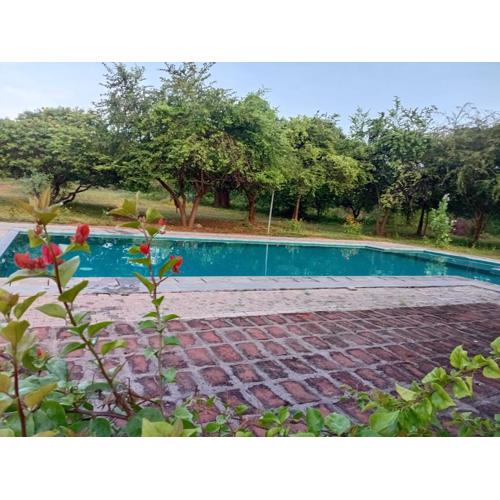 Kemin Escapes - Yala