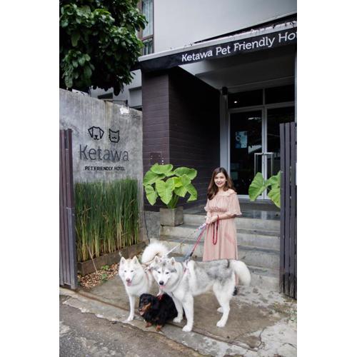 Ketawa Pet Friendly Hotel