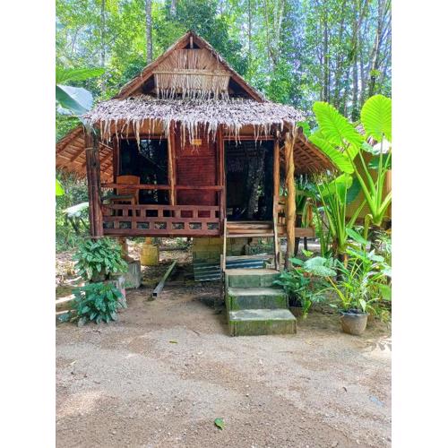 Khai jungle wassanacamp