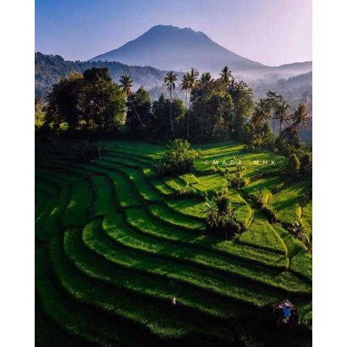 Khailash Lumbung Villas