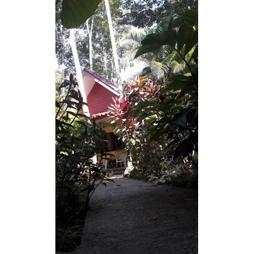 Khao Sok Holiday Resort