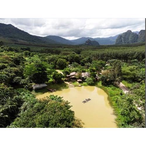 Khao Sok Homestay Resort