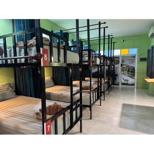 Khao Sok Jungle Hostel