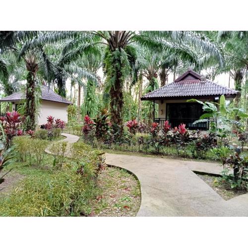 Khao Sok Palm Garden Resort