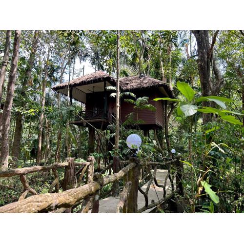 Khao Sok Paradise Resort