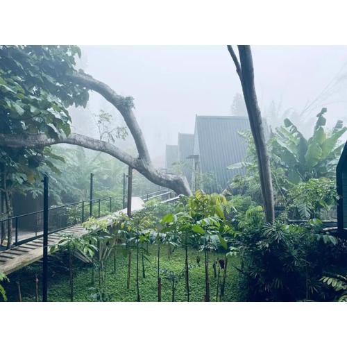 Khaokhai Cafe & Resort