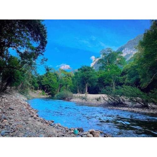 Khaosok August Freedom Camp