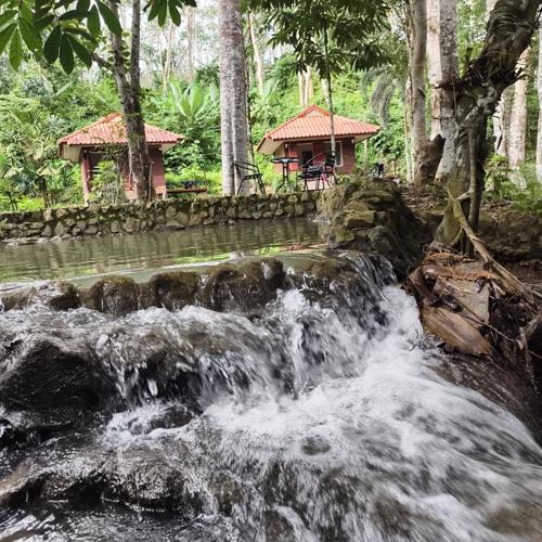 Khaosok Creek and Jungle Resort