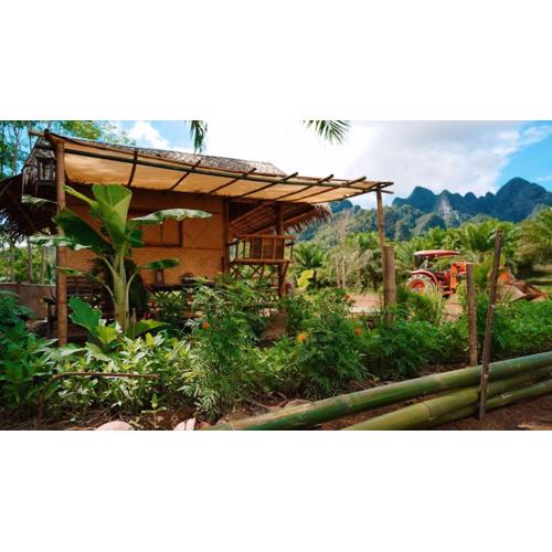 Khaosok Eco House