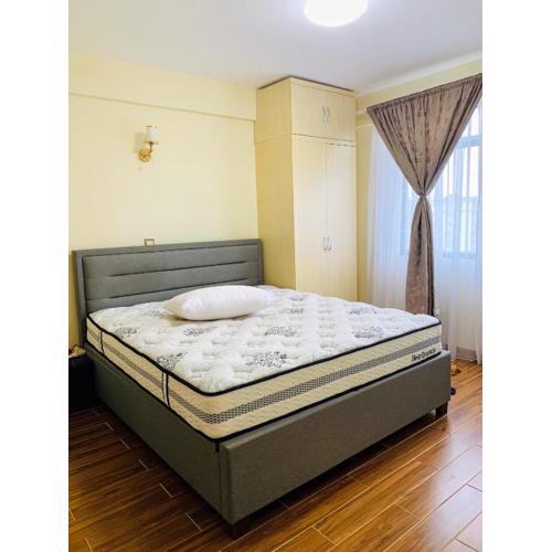 Kilimani view apartment