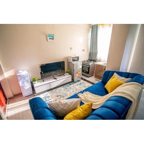 Kilimani View Palace Apartment-Studio