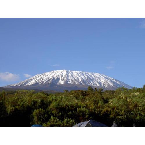 KILIMANJARO HOME OF RASON