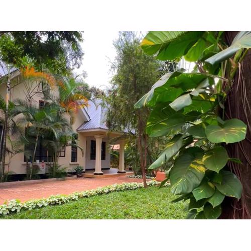 Kilimanjaro Volunteers