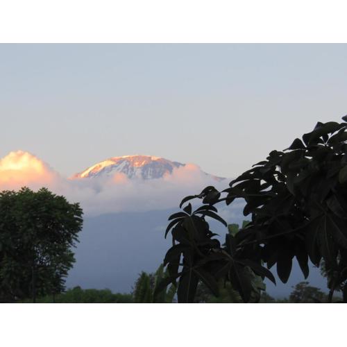 Kilimanjaro White House Hotel