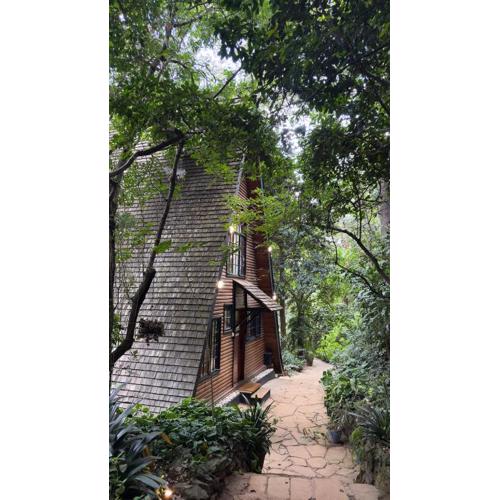 Kivulini A-Frame Cabin Forest