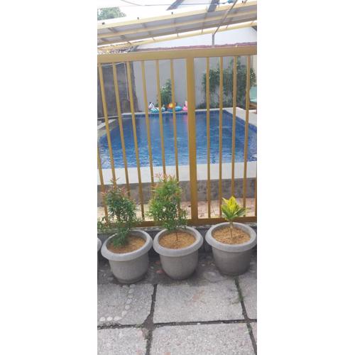 KJ Inn Homestay Senggigi