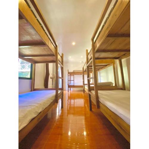 Knowwell Siargao BUNK BED