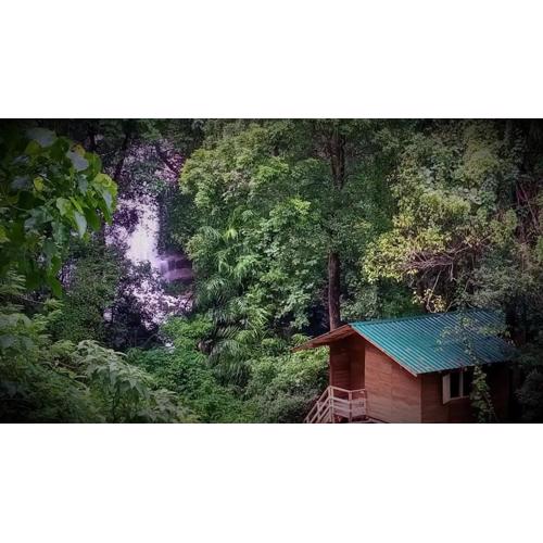 Knuckles Backpackers Hut with waterfall view