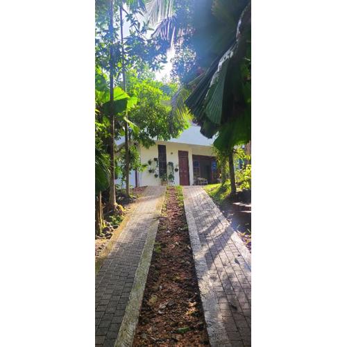 'Kolamba Gedara' green apartment