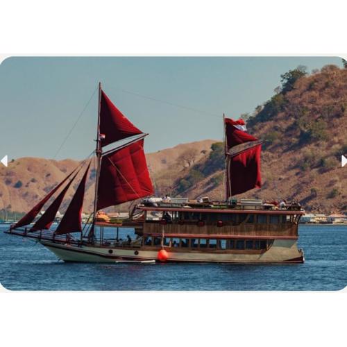 Komodo Island Tour 3 Days with Best Komodo Tour