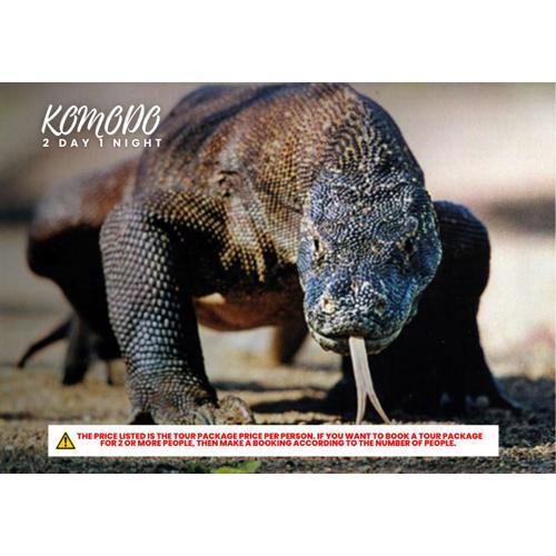 Komodo Tour 2D1N