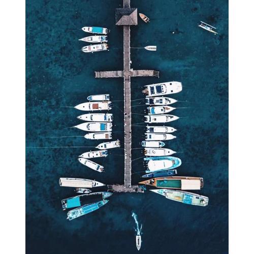 KOMODO TRAVELCATIONS Full Day trip Komodo by Speed Boat