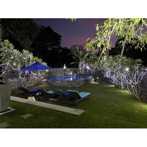 Koratuwa - Dickwella