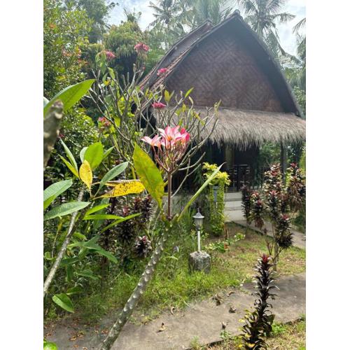 Kubu Artha Bungalow Nusa Penida