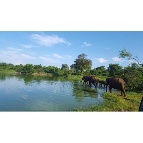 Kuma Safari Lodge