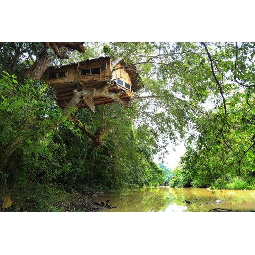 Kumbuk Tree House